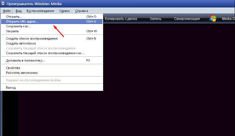 Проигрыватели медиа файлов. При воспроизведении файла проигрывателем Windows Media произошла ошибка. Зрительные образы для проигрывателя Windows XP. Какие Форматы открывает Windows Media Player.